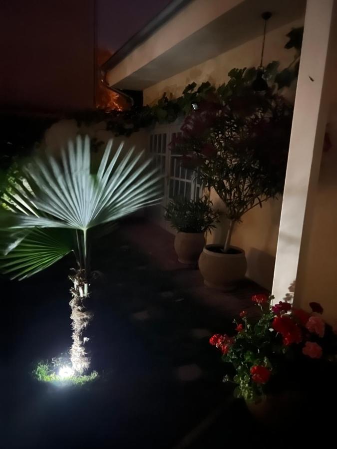 Monpe Apartmanik S Atmosferou Komárno المظهر الخارجي الصورة